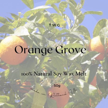 Orange Grove-Bright, grounding, and full of warmth.